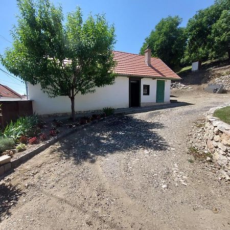 Villa Felix Haz Rimetea Exterior foto